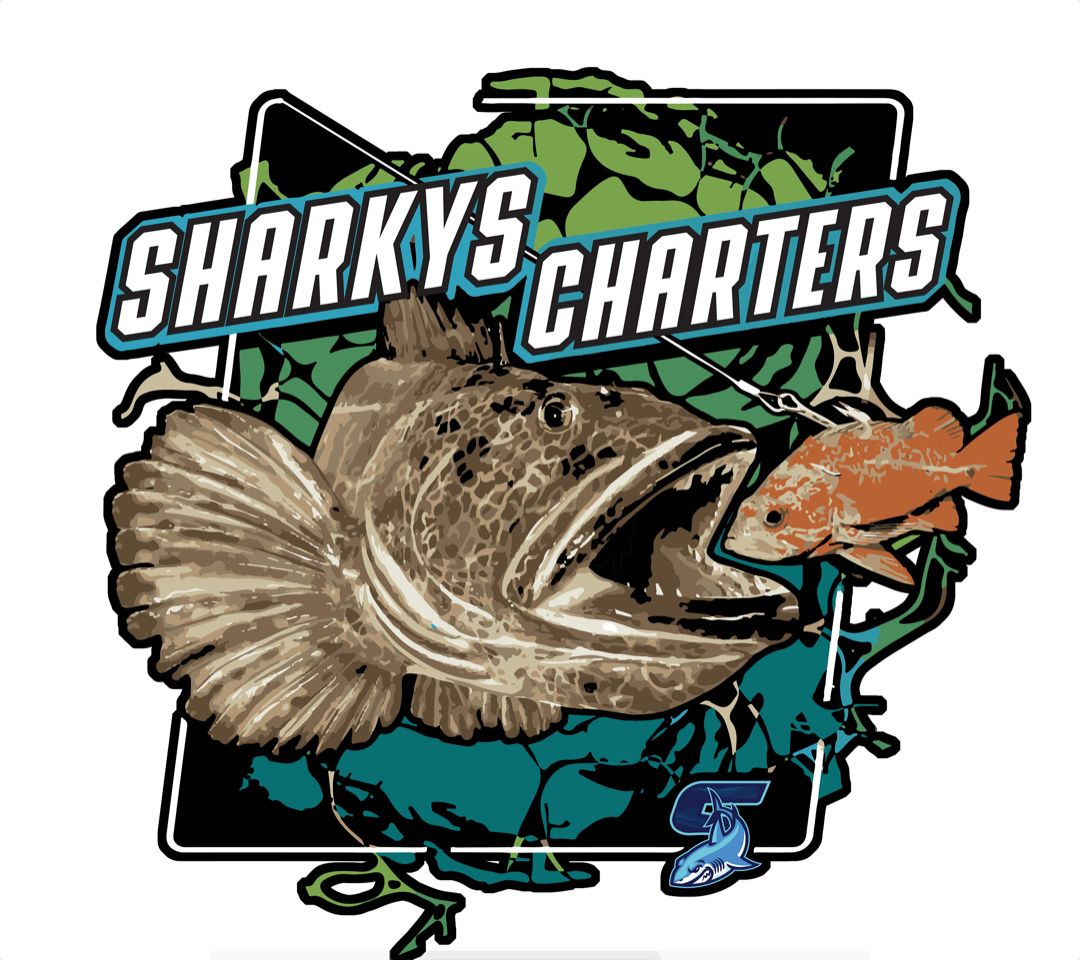 Sharkys-ling-cod-transparency.png