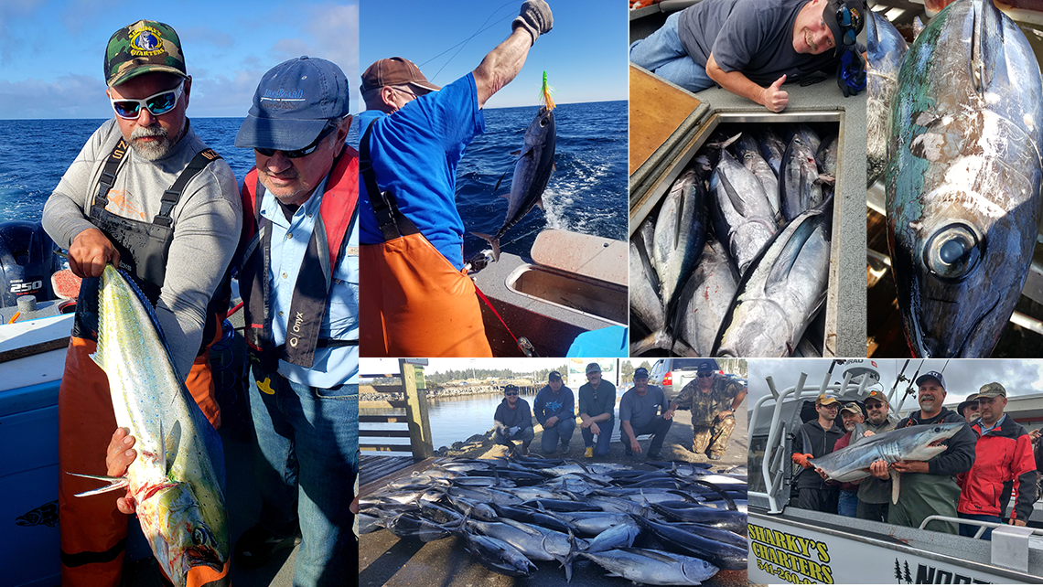 Tuna Flex – Sharky's Charter Fishing Oregon