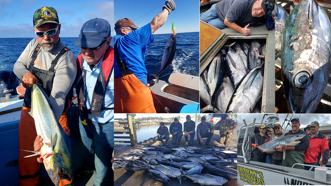 Tuna fishing: Schools of fish in water off the Oregon Coast, Family