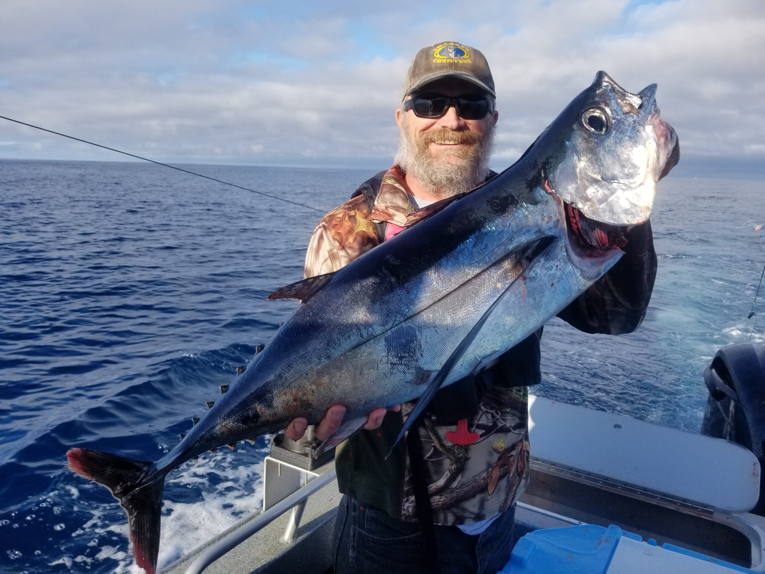 Product Review: Safe Catch Tuna Fish, Stay Adventurous