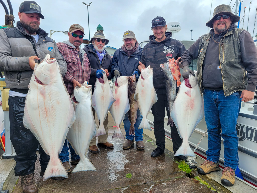 Halibut Season 2023 Update Sharky's Charter Fishing Oregon