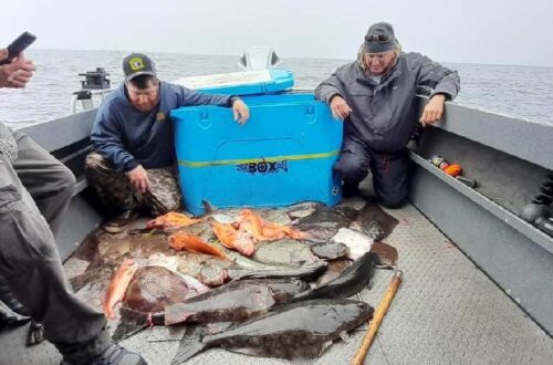 Sharky's Charter Fishing Oregon – Charter boat service for ocean